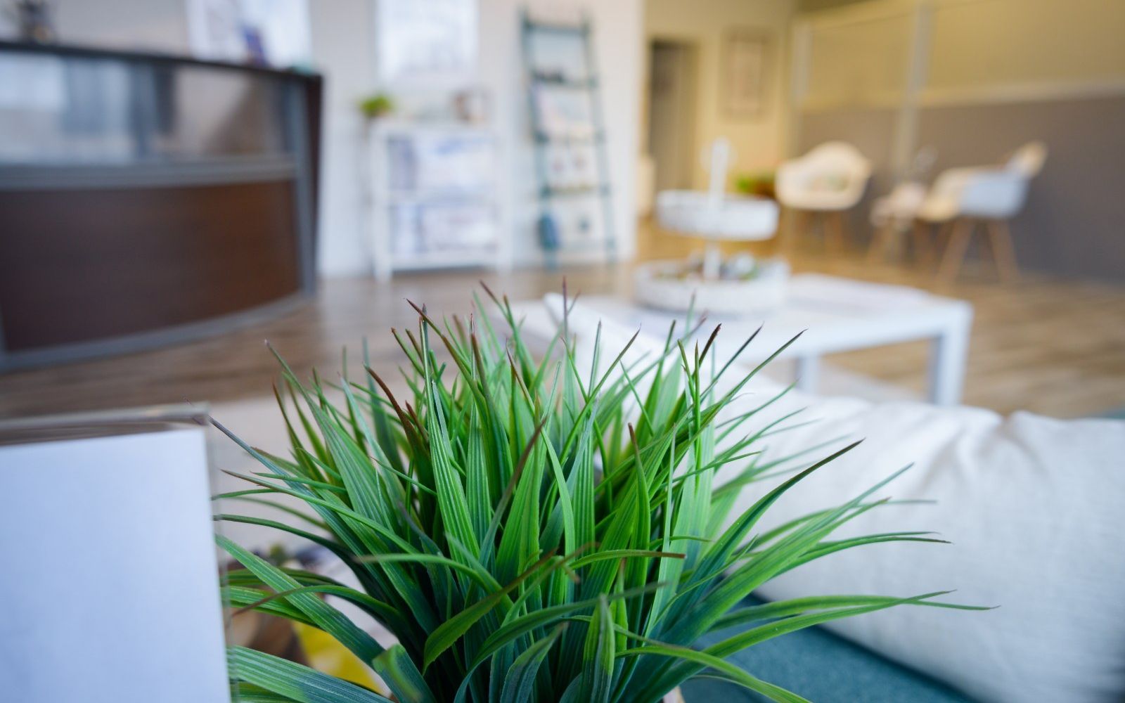 The waiting area at Mequon Family Chiropractic on North Port Washington Road